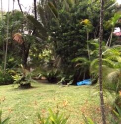 Old Holland Road (D10), Detached #480372391